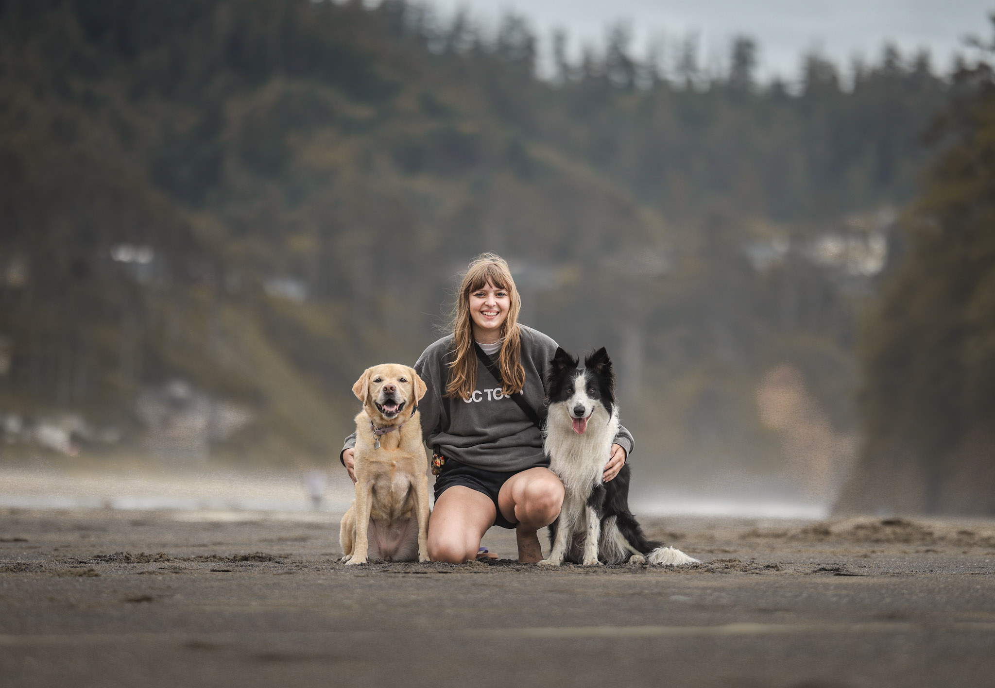 Dog obedience training